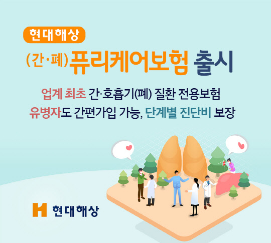 현대해상 제공